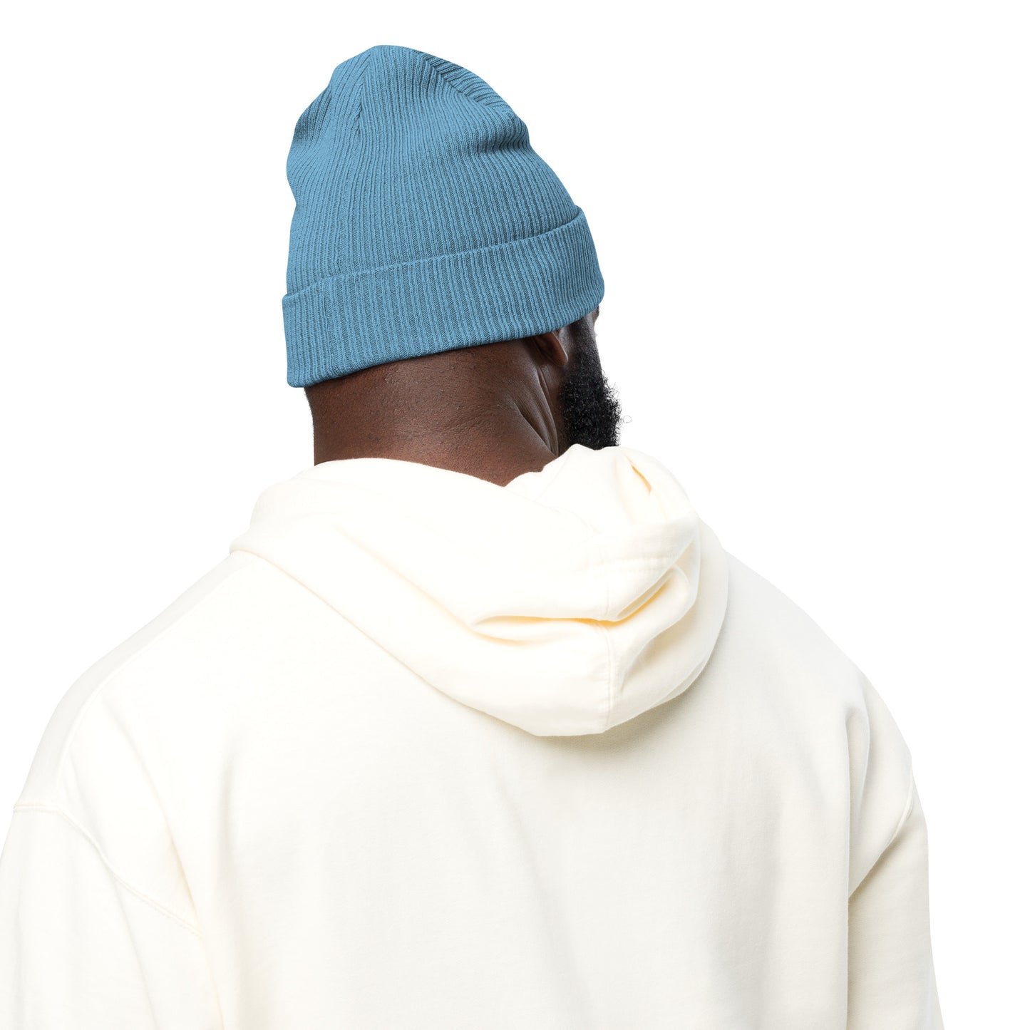 AK ribbed beanie (grey)