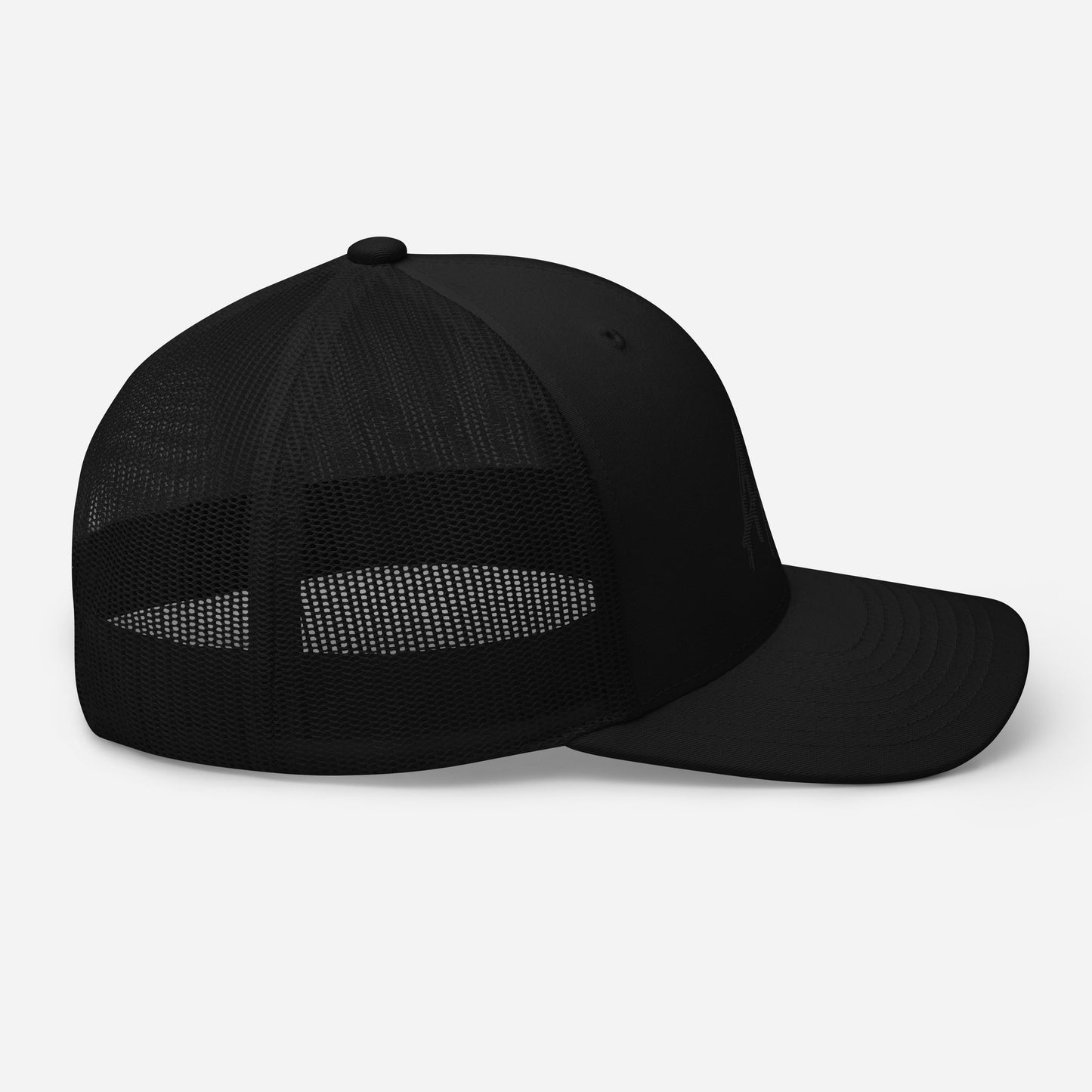 AK snapback (black)
