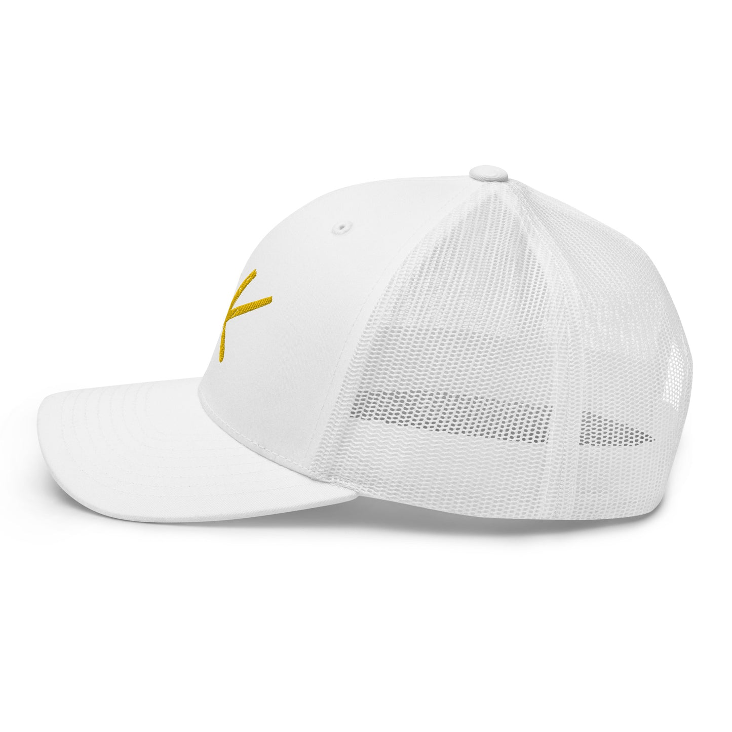AK snapback (gold)