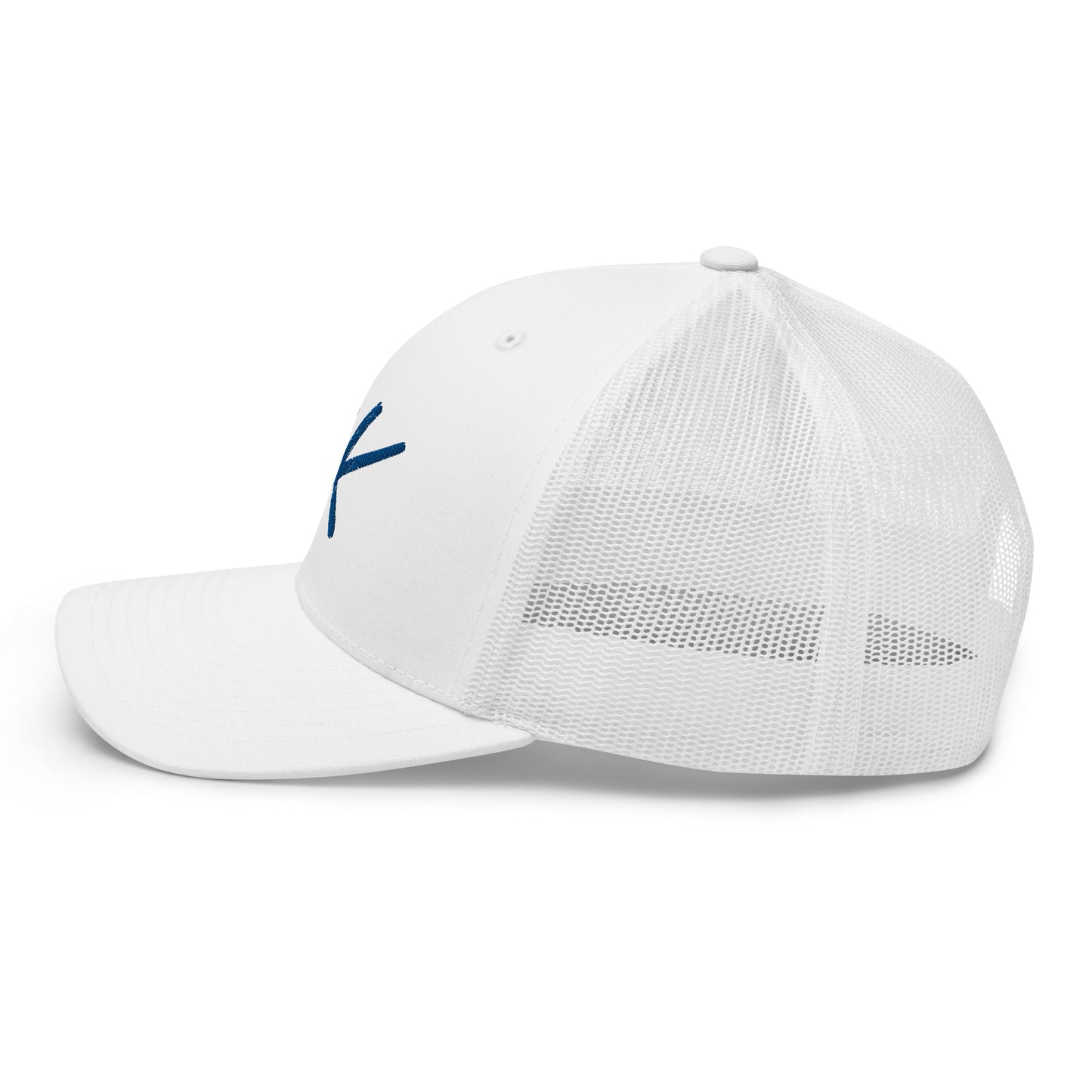 AK snapback (blue)