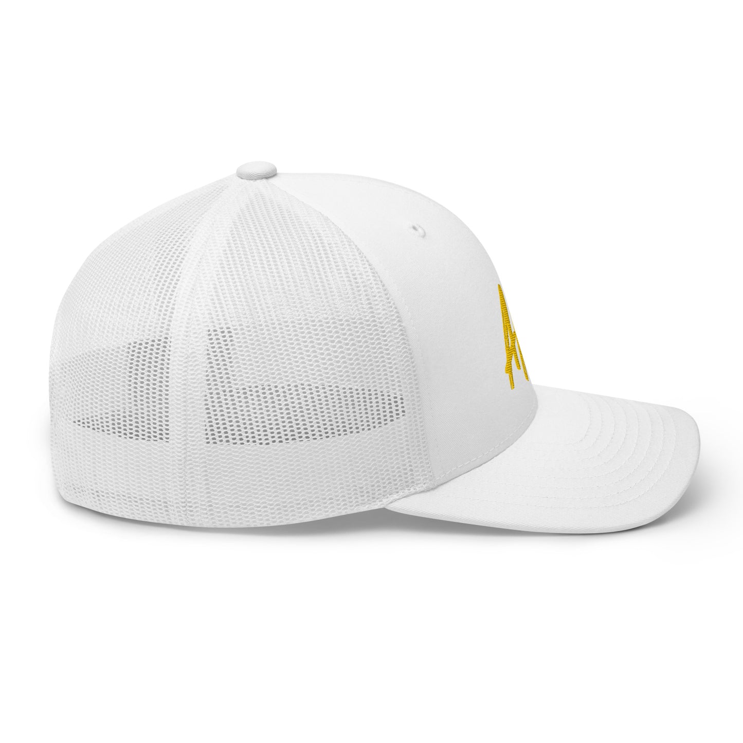 AK snapback (gold)